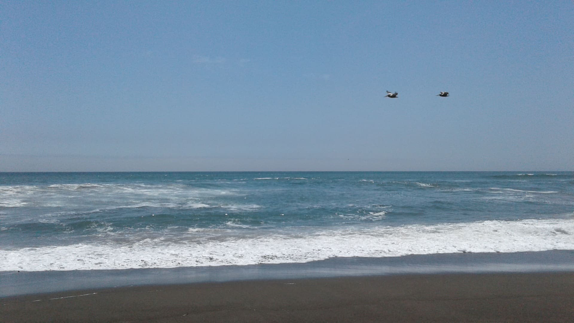 Playa frente al condominio