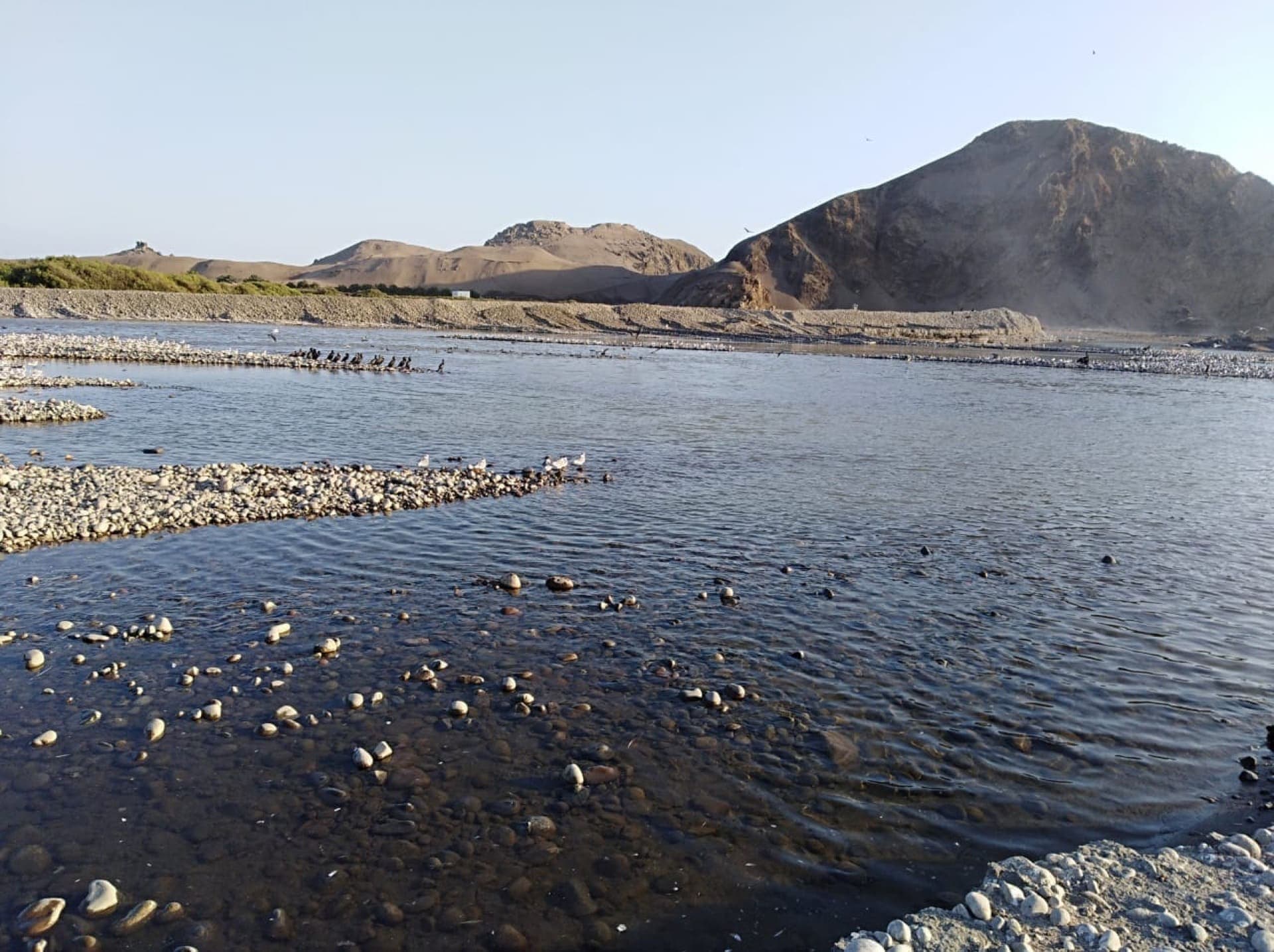 Costa del Campo
