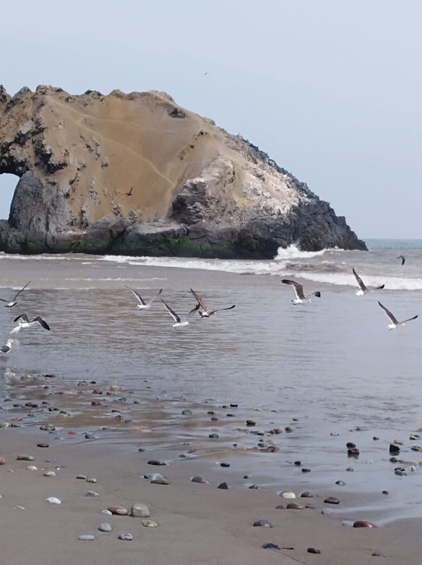 Costa del Campo